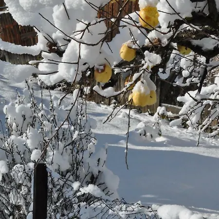 Le Chable Ski شقة Bagnes